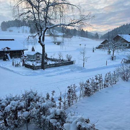 Ferienwohnungen Roessle Stiefenhofen المظهر الخارجي الصورة